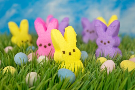 Newsletter des vacances de  printemps 2025
